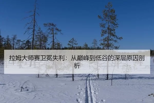 la-mu-da-shi-sai-wei-mian-shi-li-cong-dian-feng-dao-di-gu-de-shen-ceng-yuan-yin-pou-xi-2-539.jpg
