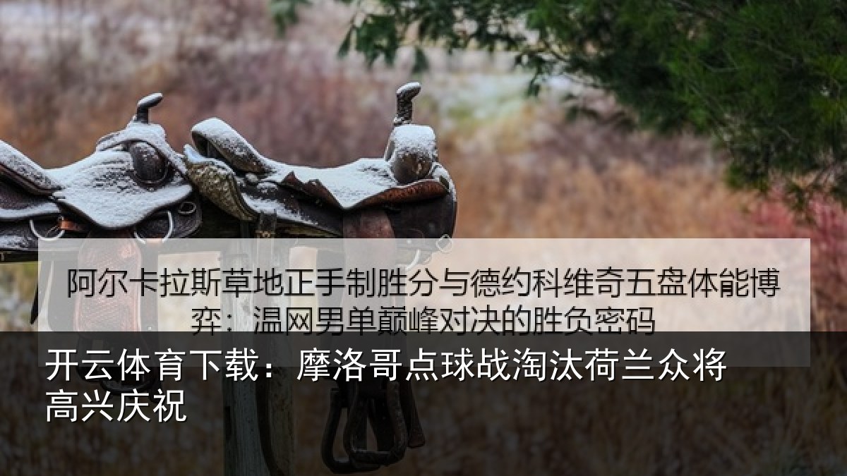 开云体育下载:摩洛哥点球战淘汰荷兰众将高兴庆祝