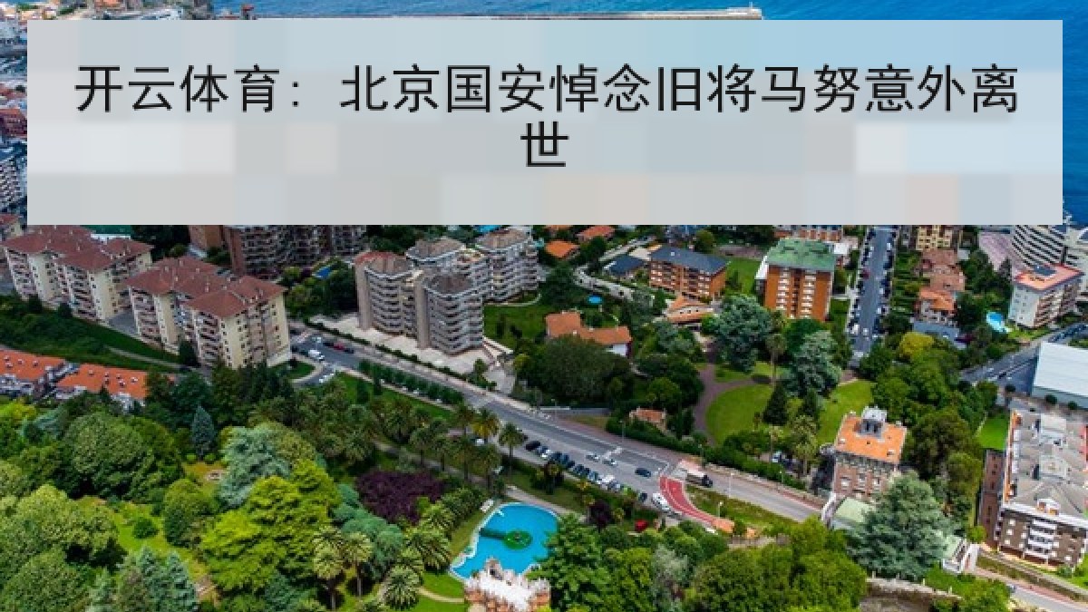 开云体育: 北京国安悼念旧将马努意外离世